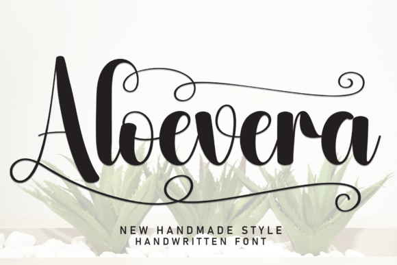 Aloevera Font: A Refreshing Typeface for Authentic Brand Identity