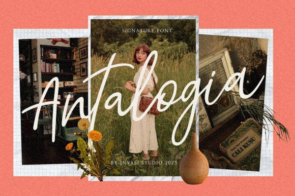 Antalogia: The Elegant Script Font for Luxury Brand Identity