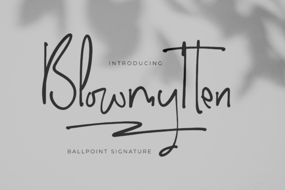 Blowmytten: The Elegant Script Font That Transforms Small Business Branding